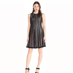 Calvin Klein White Paneled Lace Dress